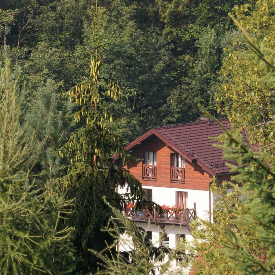 Appartamento Antracyt Krynica-Zdrój Esterno foto