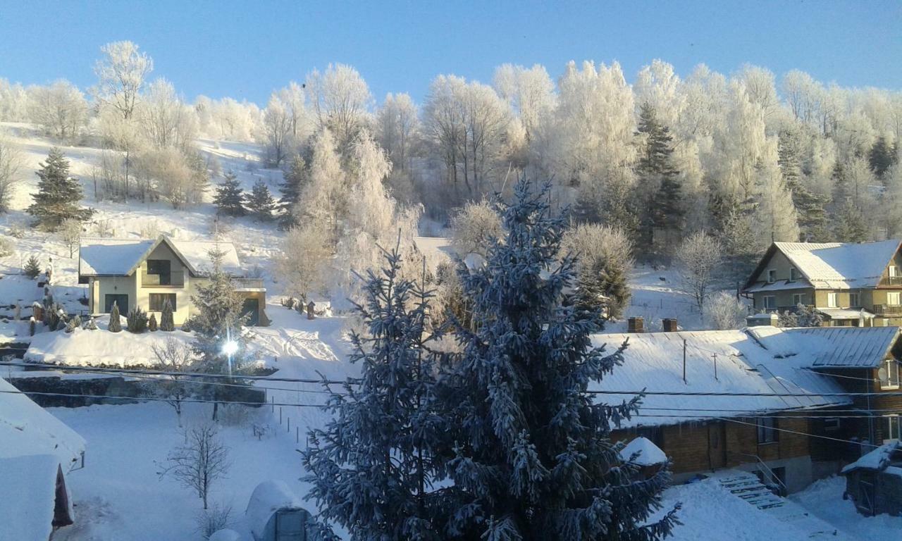 Appartamento Antracyt Krynica-Zdrój Esterno foto