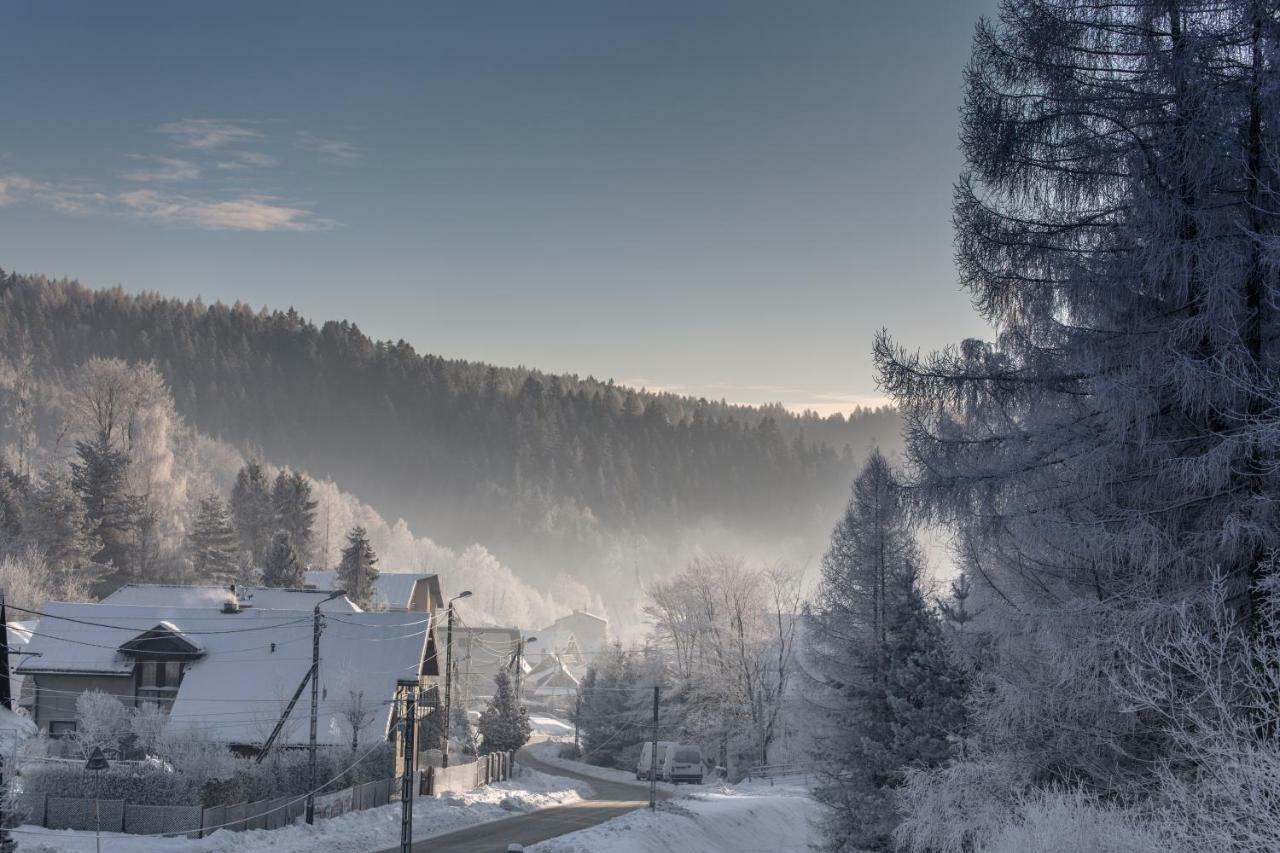 Appartamento Antracyt Krynica-Zdrój Esterno foto